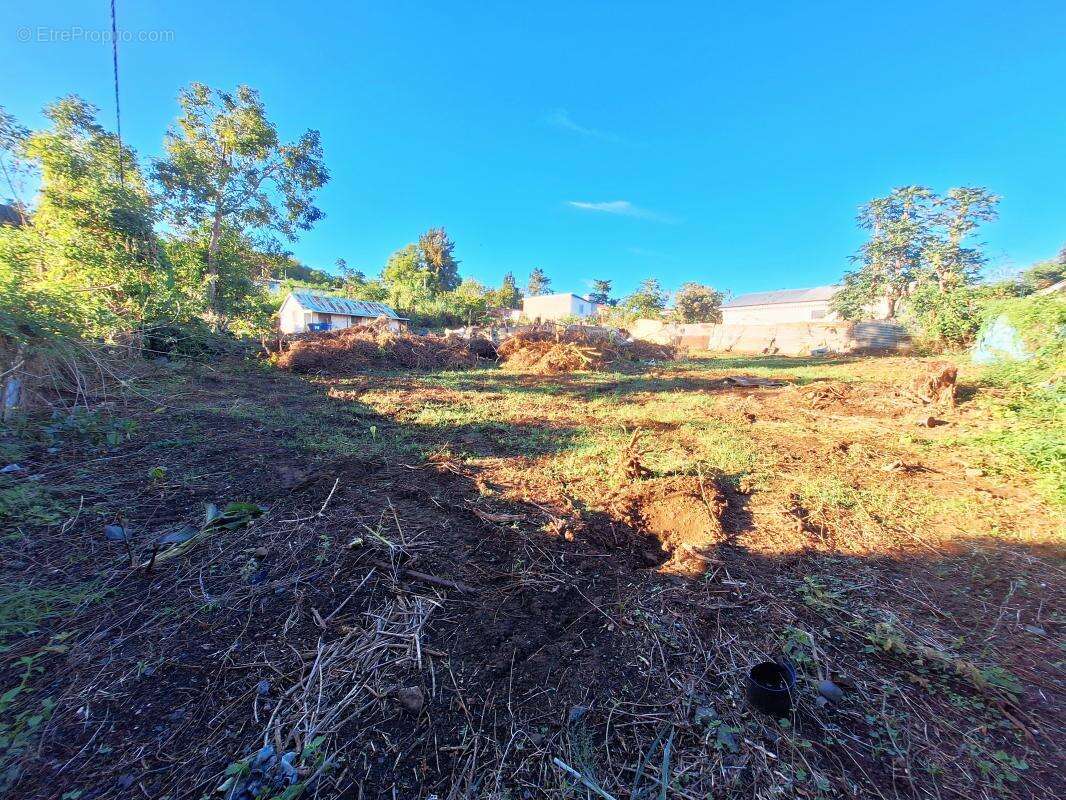 Terrain à SAINT-PAUL