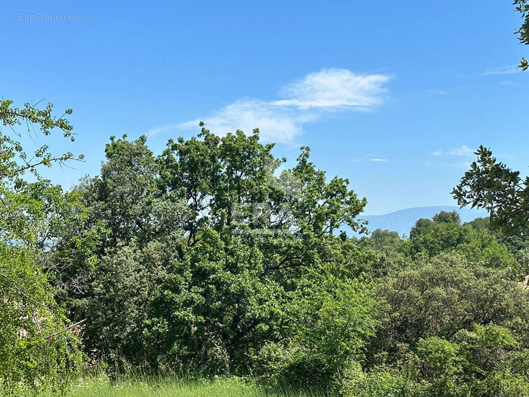 Terrain à VENASQUE