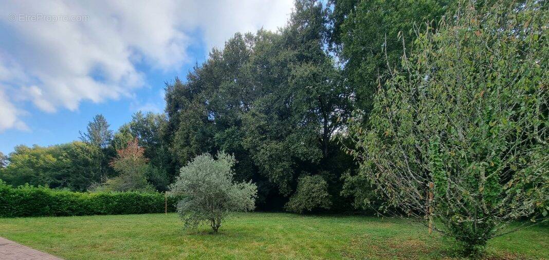 Terrain à LIGNAN-DE-BORDEAUX