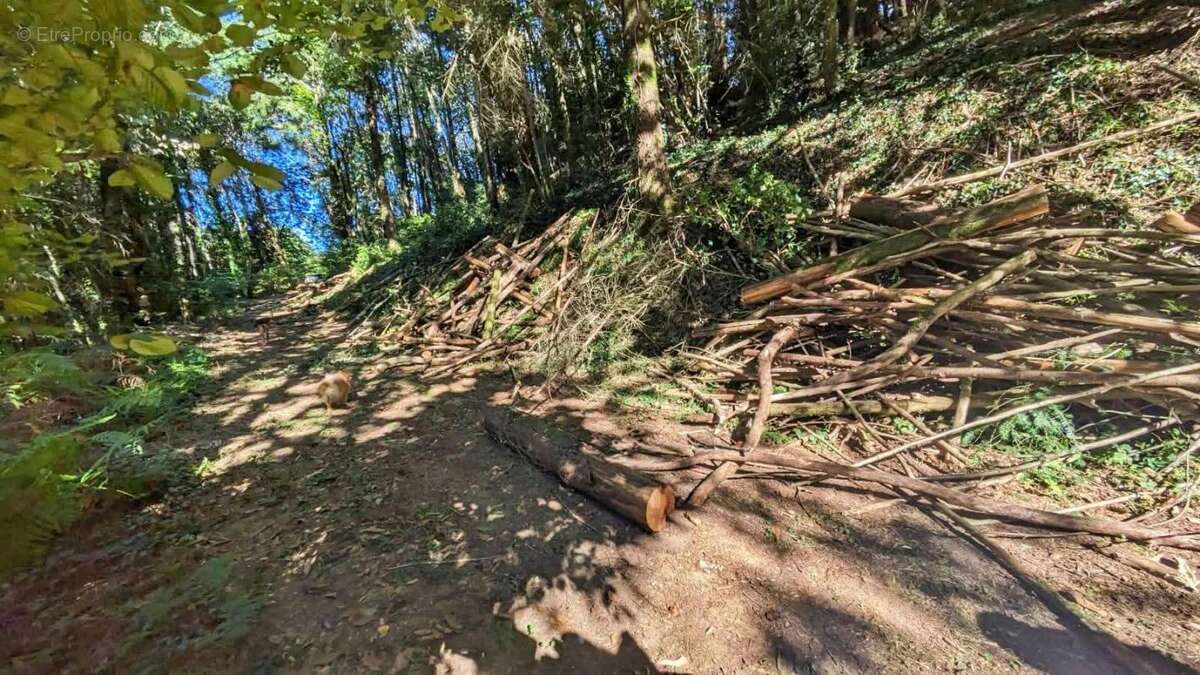 Terrain à SAINT-SALVY-DE-LA-BALME