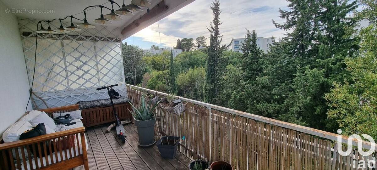 Photo 1 - Appartement à MONTPELLIER