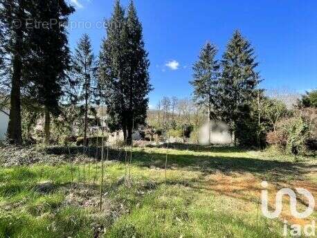 Photo 3 - Terrain à BETHEMONT-LA-FORET