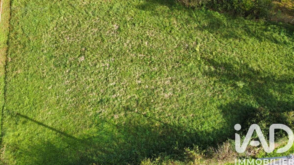 Photo 2 - Terrain à CHAZELLES