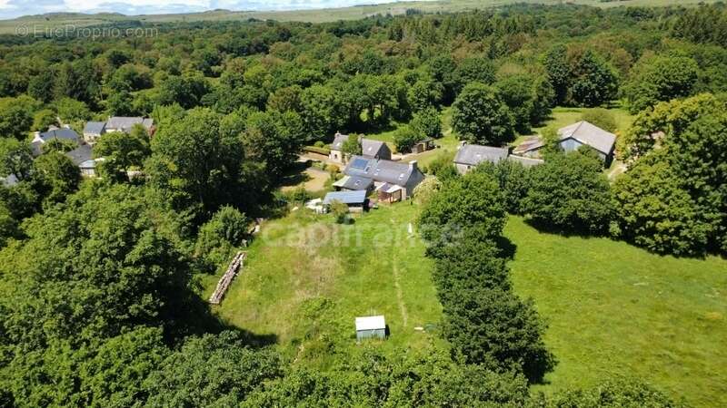 Maison en pierre – 2 500 m² de terrain – Calme absolu et nature - photo 4