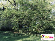 Terrain à BALLAN-MIRE