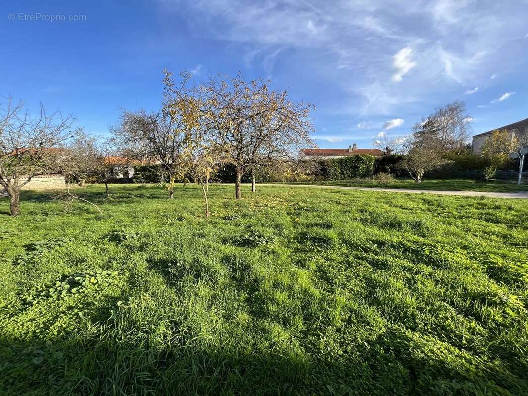 Maison à SAINT-SAUVEUR-D&#039;AUNIS