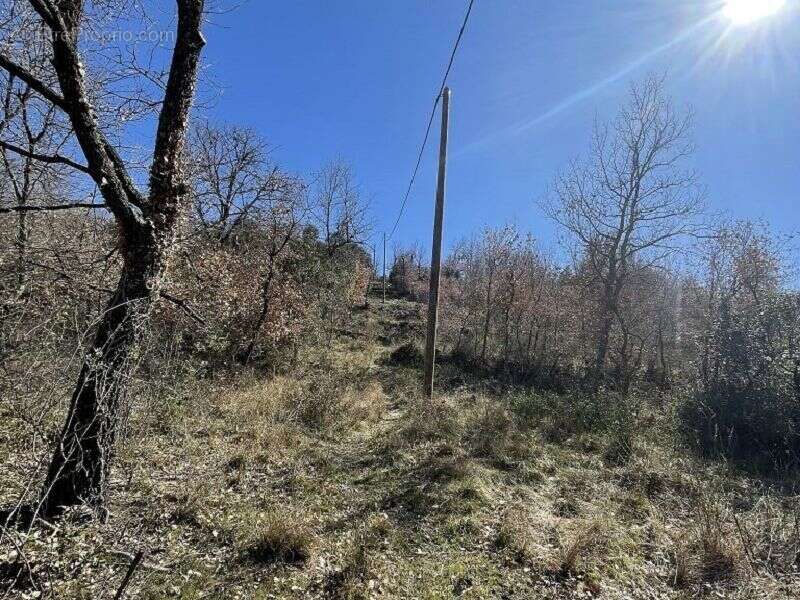 Terrain à MARQUIXANES