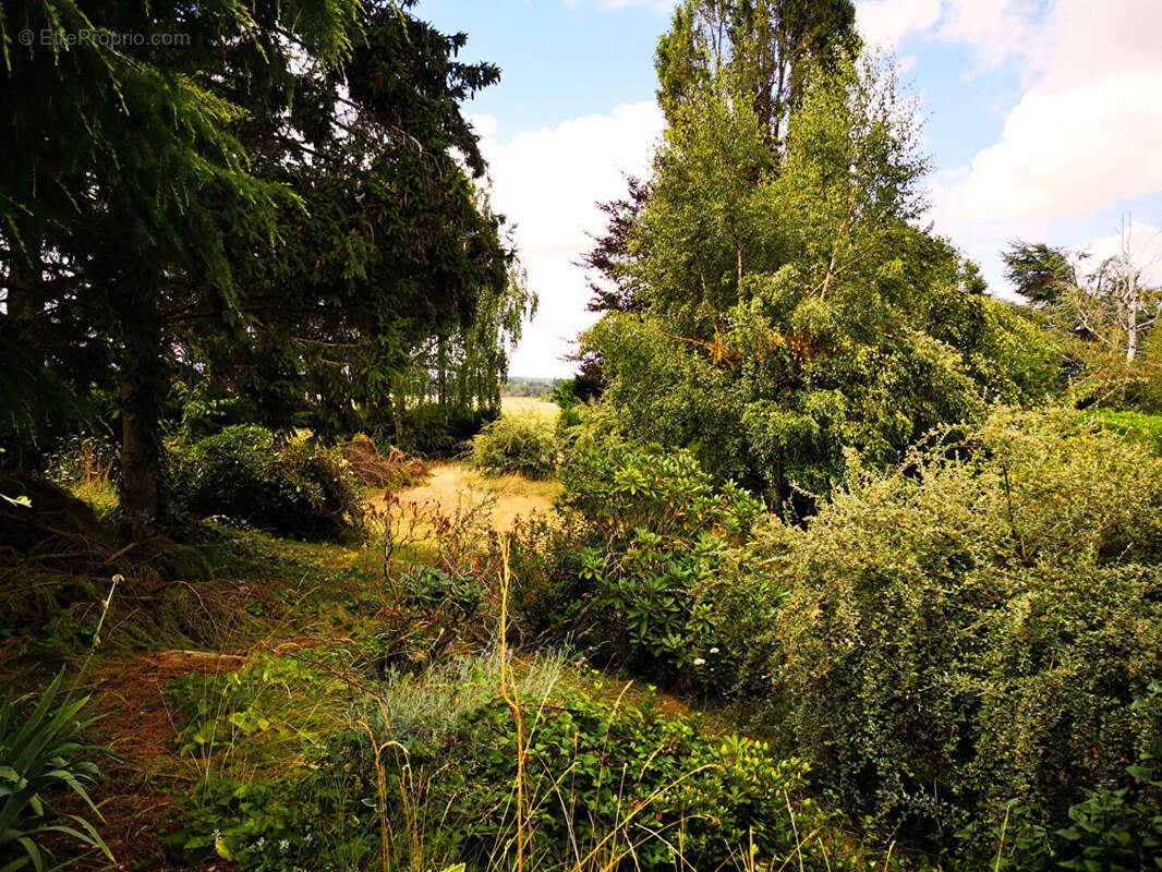 Maison à SAINT-GERMAIN-LE-GAILLARD
