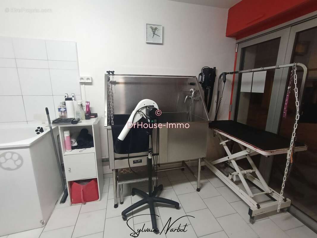 Commerce à LE GRAU-DU-ROI