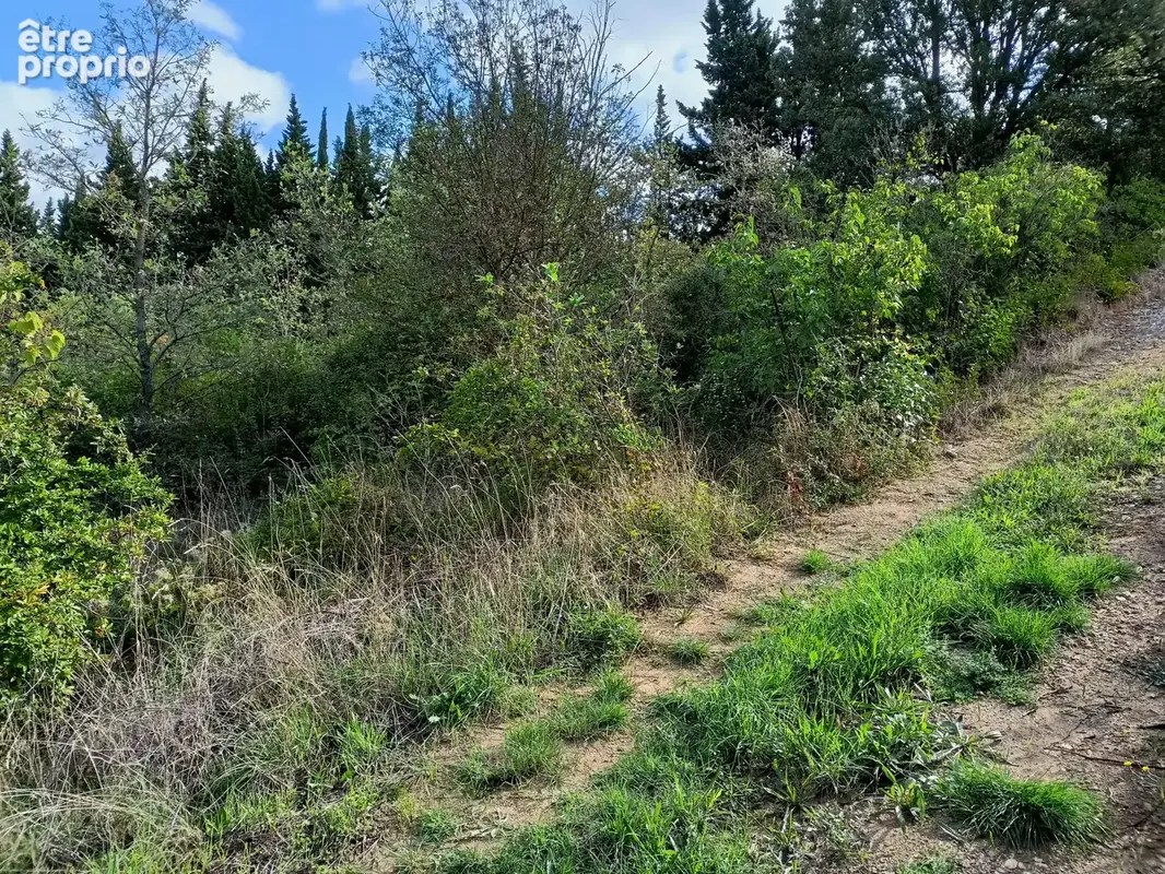 Terrain 2990 m² à Magrie  - photo 3