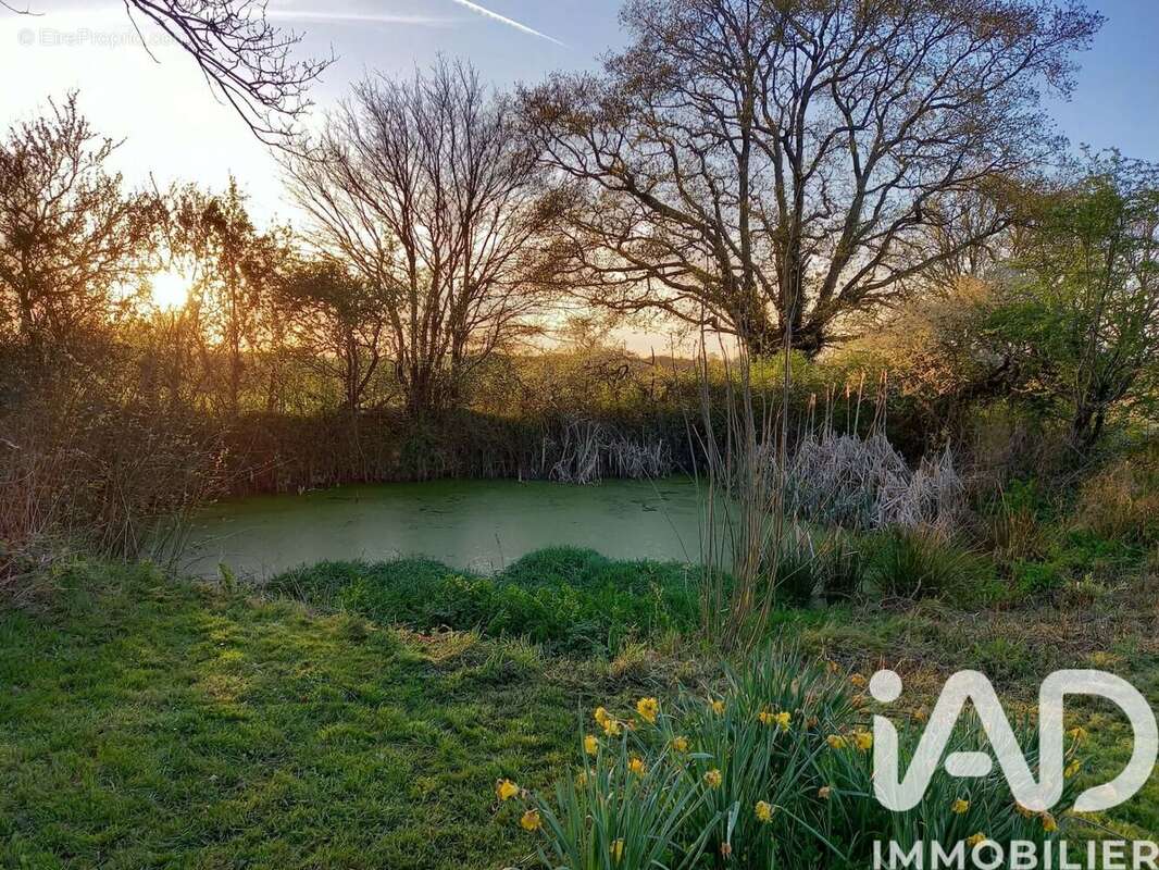 Photo 6 - Maison à LA POUEZE