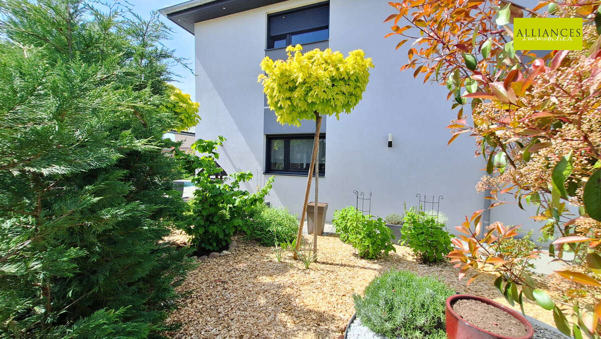 Maison à GUEWENHEIM