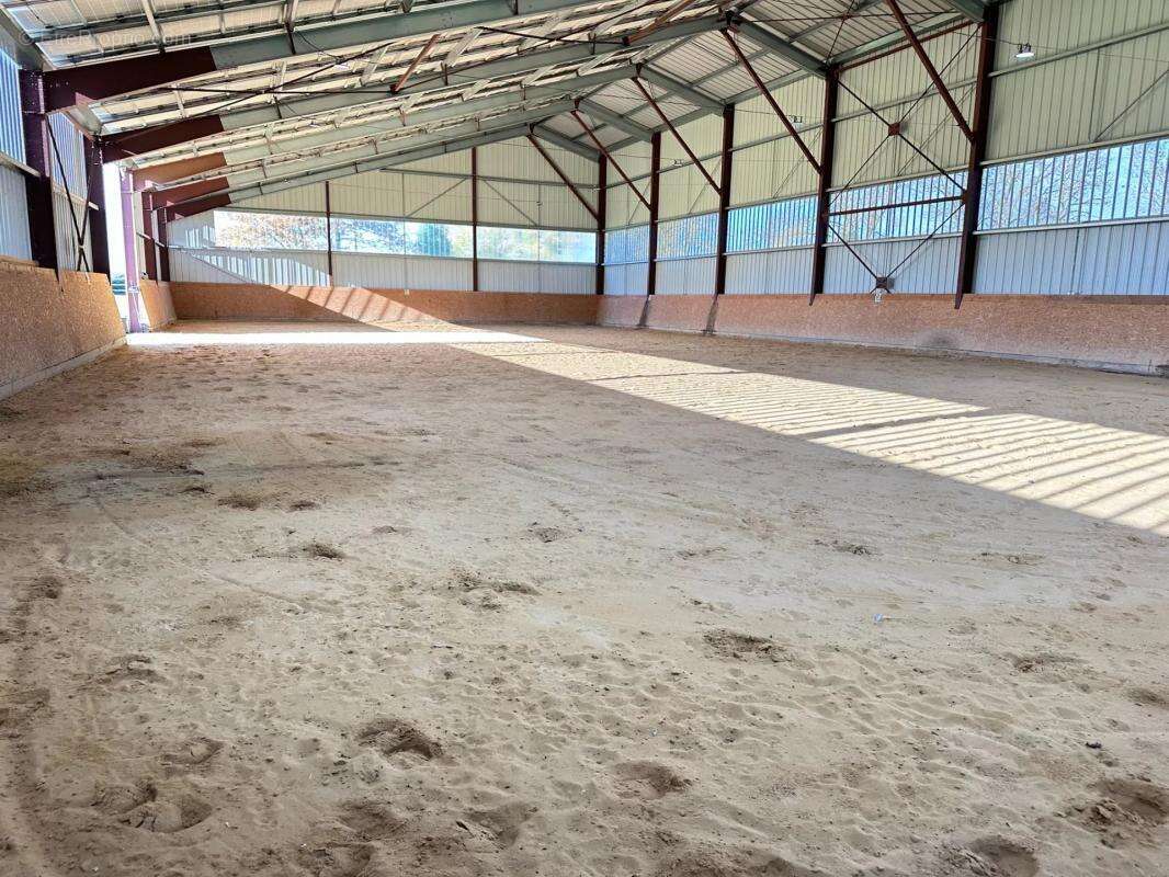 Maison à CHATEAU-DU-LOIR