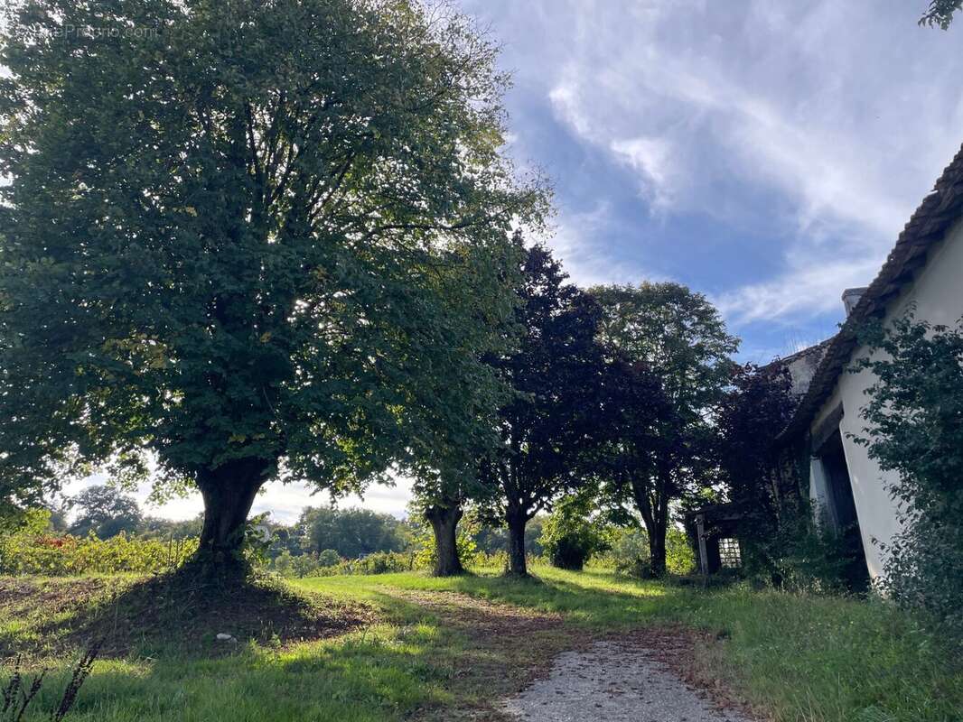 Maison à PUISSEGUIN