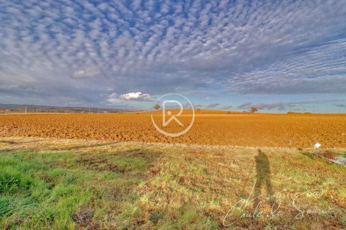 Terrain à BEAUMONT-DE-LOMAGNE