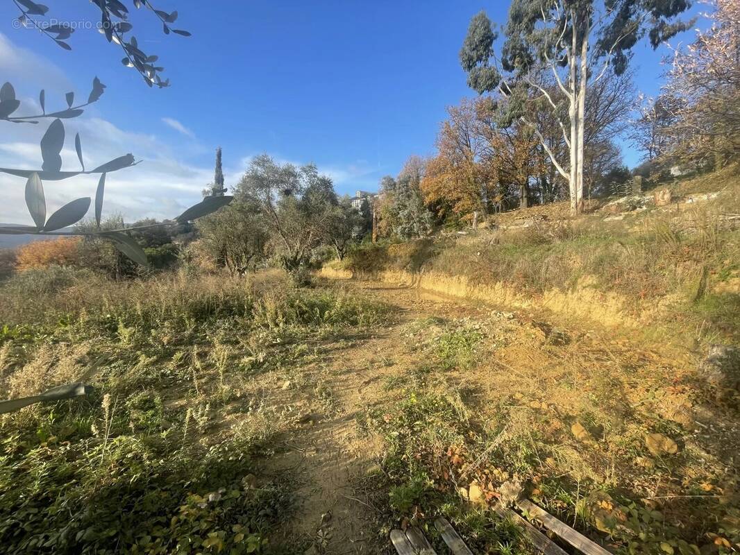 Terrain à BERRE-LES-ALPES