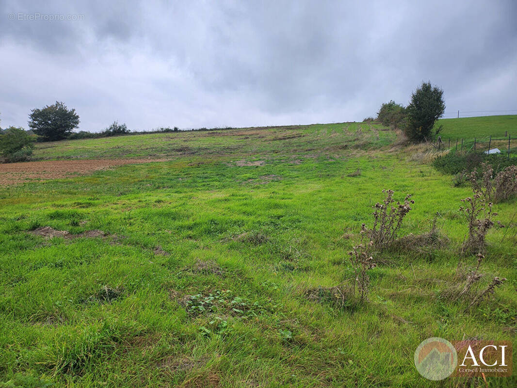 Terrain à SAINTE-GENEVIEVE