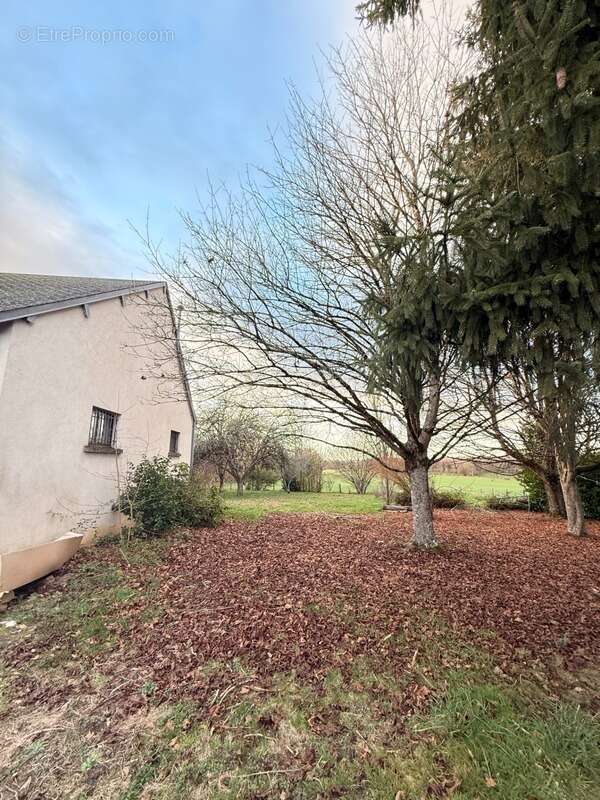 Maison à FRESSELINES