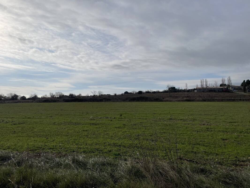 Terrain à BASSAN