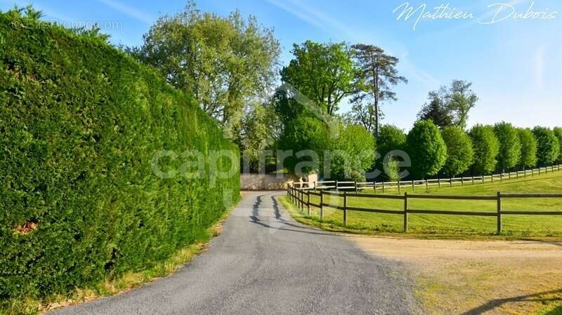Domaine de caractère du XVIIᵉ siècle rénové - Propriété de charme avec piscine et parc arboré - Entre Périgueux et Bergerac - photo 26