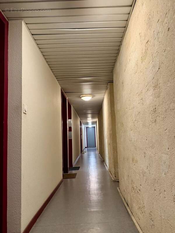 Studio avec Mezzanine (28,38 m2), copropriété de charme , Bordeaux - photo 11