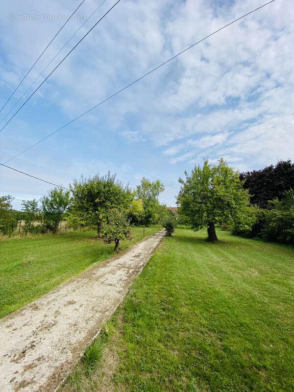 Terrain à VILLEBLEVIN
