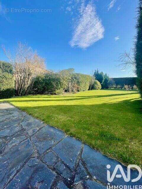 Photo 4 - Maison à ARQUES