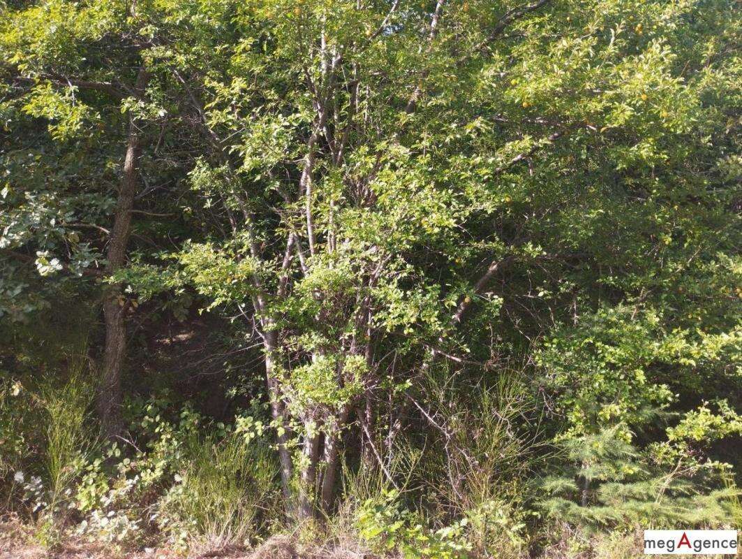 Terrain à ISPAGNAC