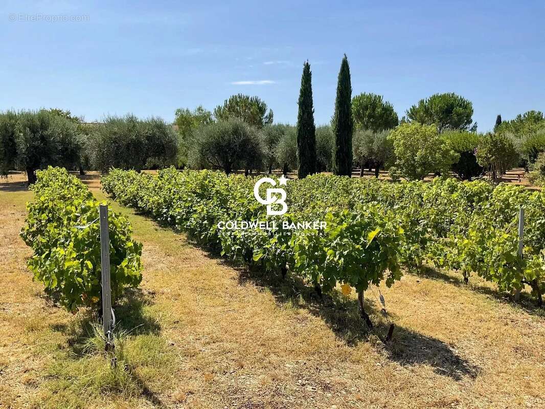 Maison à SOLLIES-PONT