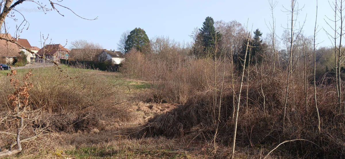 Terrain à FOUSSEMAGNE