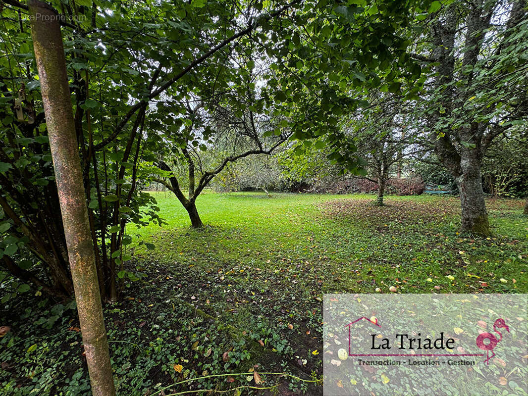 Maison à CLAIREGOUTTE