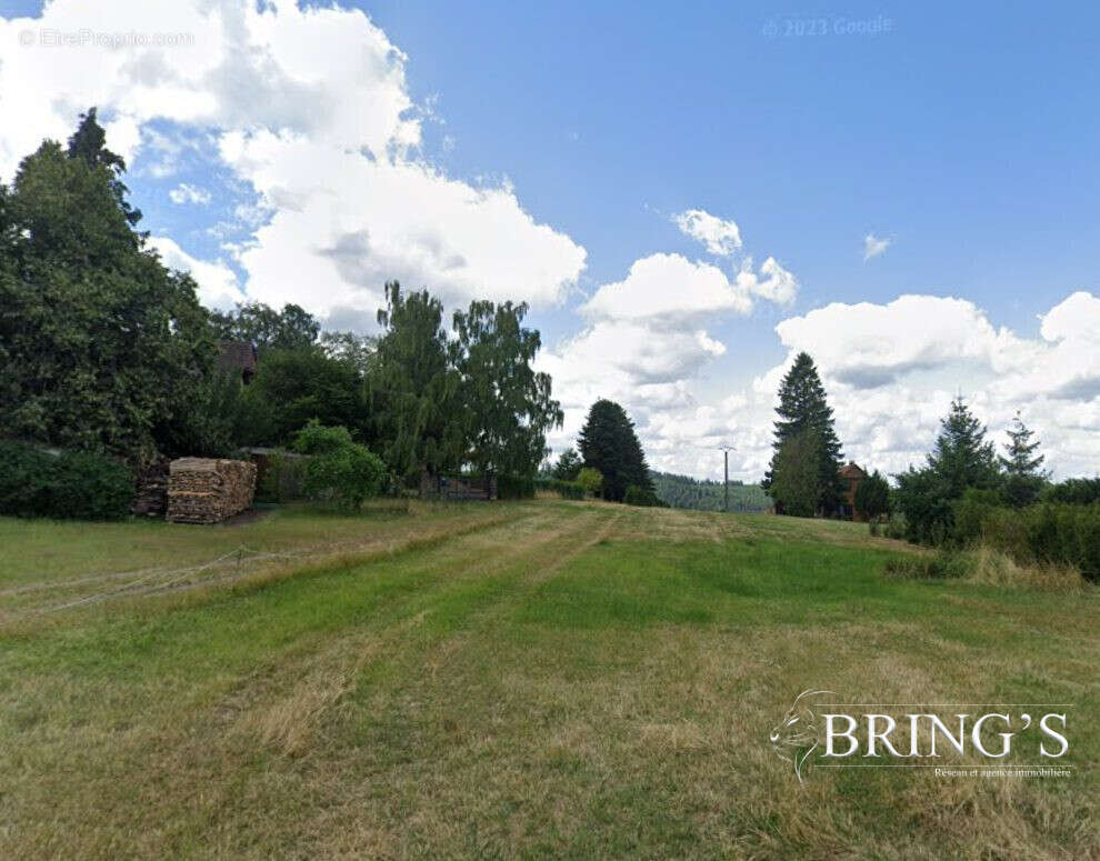 Terrain 3622 m² à Dabo  - photo 2