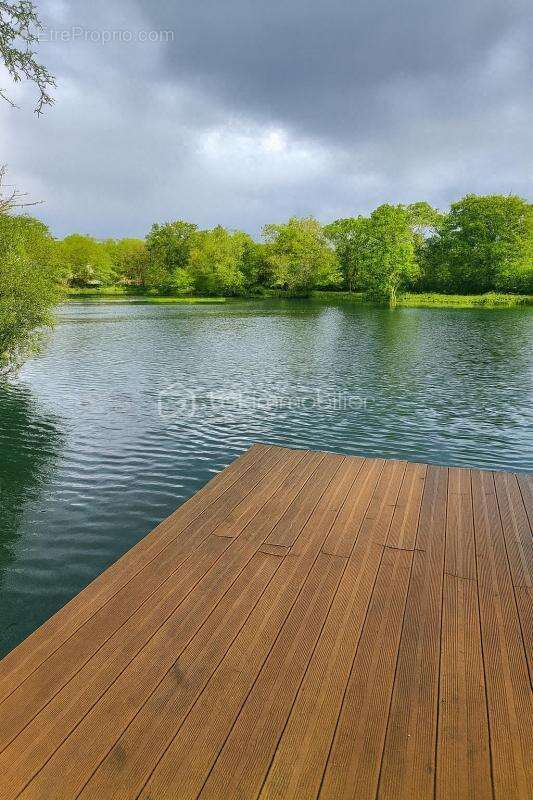 Terrain à SAVONNIERES