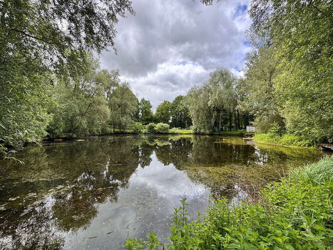 Étang - 9672 m² de nature à 20 min d'amiens - photo 2