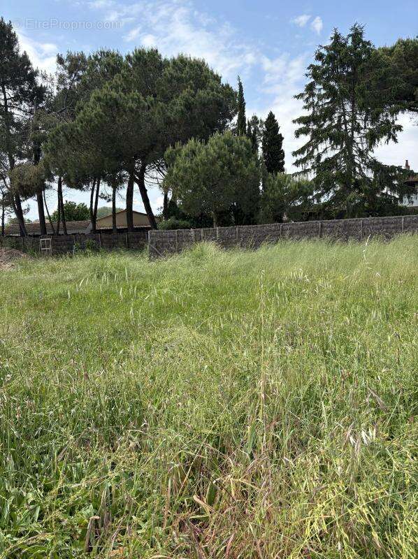 Terrain à PODENSAC
