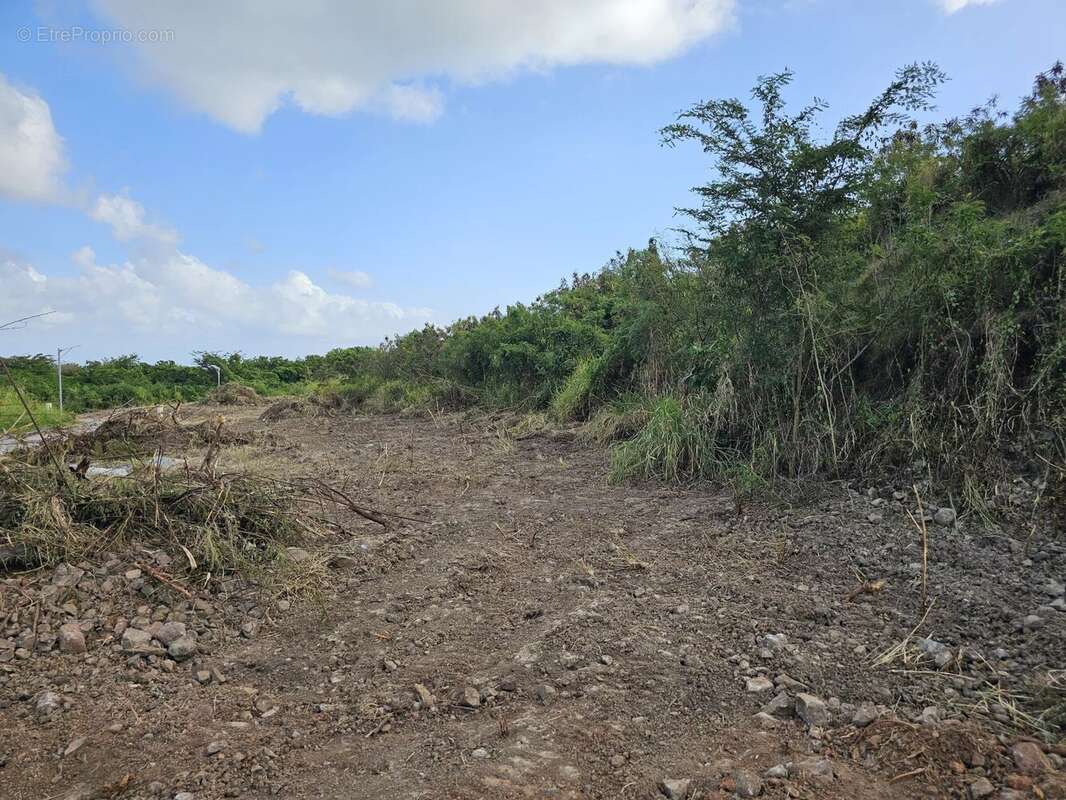 Terrain à LE DIAMANT