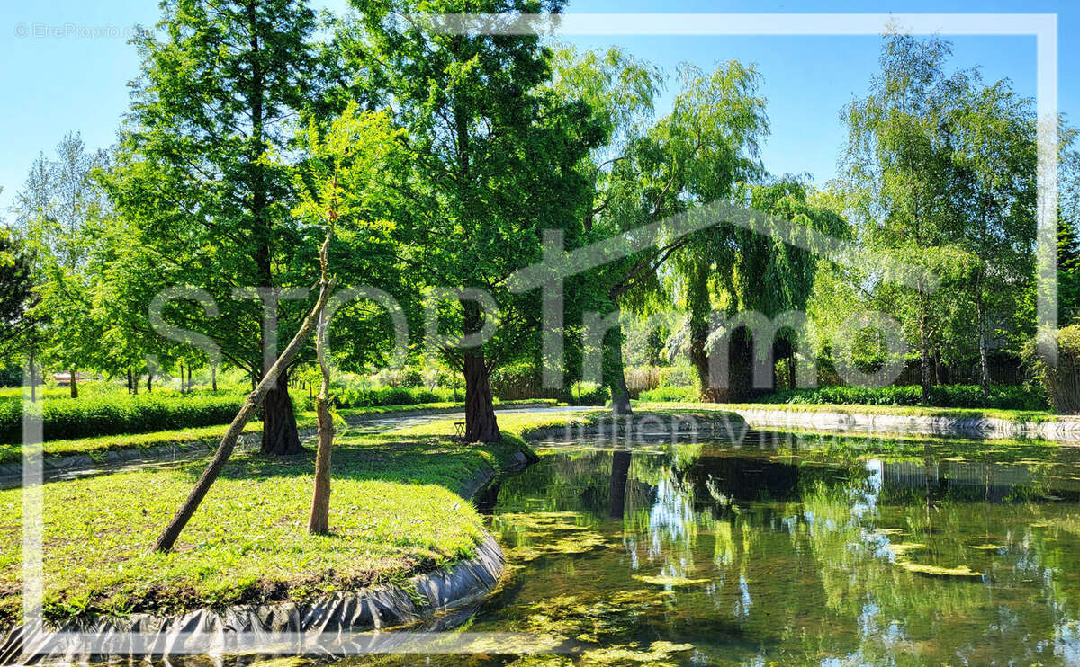 Maison à ESTREELLES