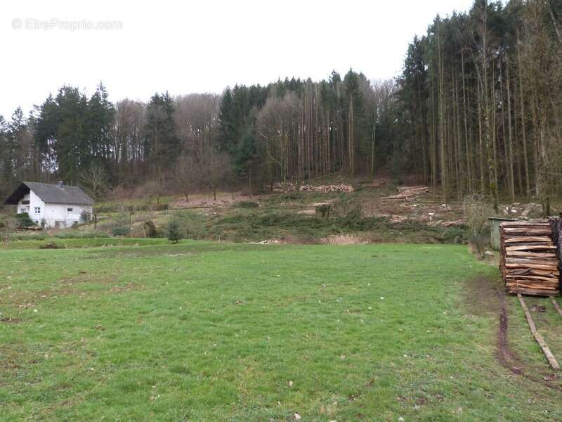 Dpt Moselle (57), à vendre HOTTVILLER terrain - Terrain de 803,00 m² - photo 6