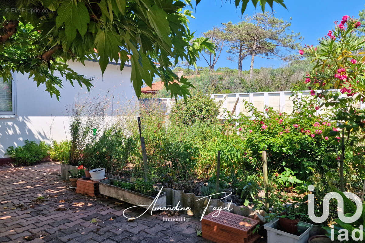 Photo 6 - Maison à BISCARROSSE