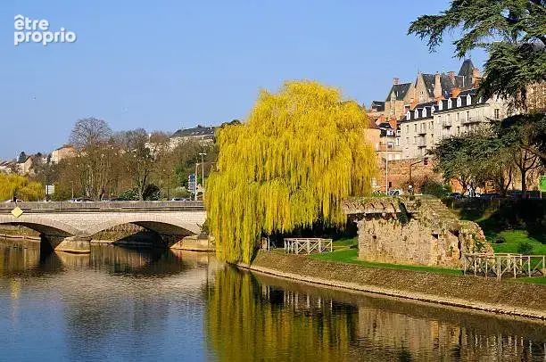 Autre à LE MANS