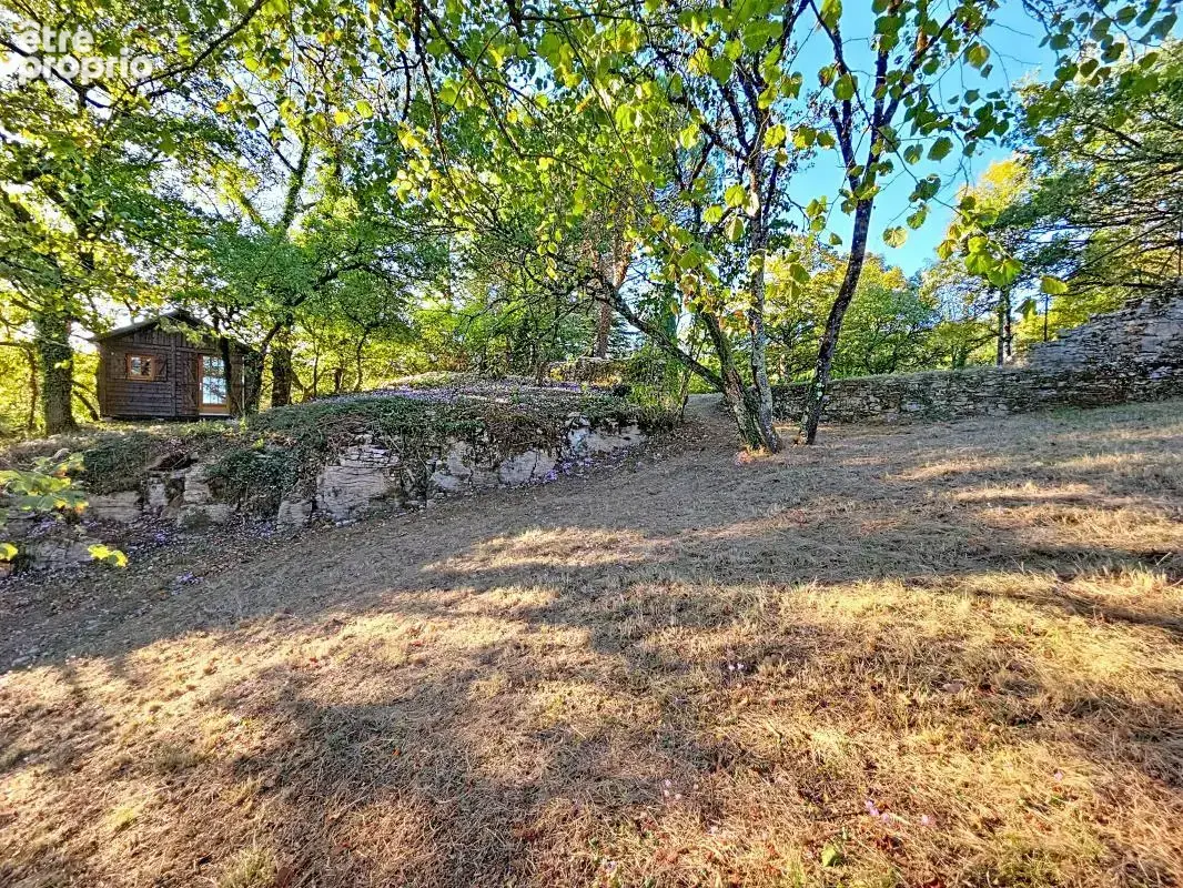 Maison - 3 Chambres - Buanderie - Dépendance - Terrasse - Jardin - Au cœur de la nature - photo 8