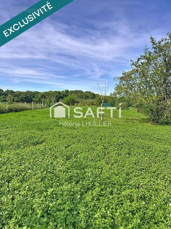 Photo 6 - Maison à PLAISANCE-DU-TOUCH