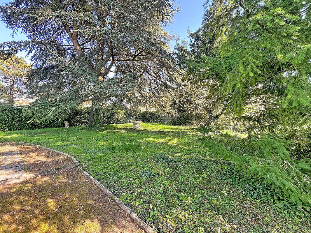 Terrain à SARAN