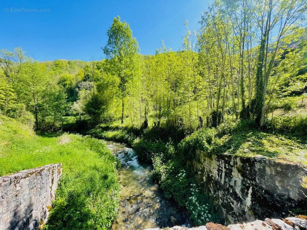Maison à SAINT-PAUL-DE-JARRAT