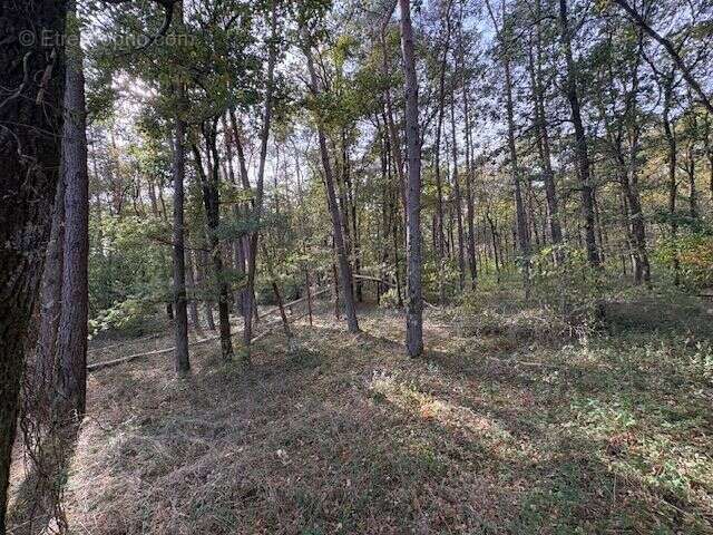 Terrain à VILLEFRANCHE-SUR-CHER