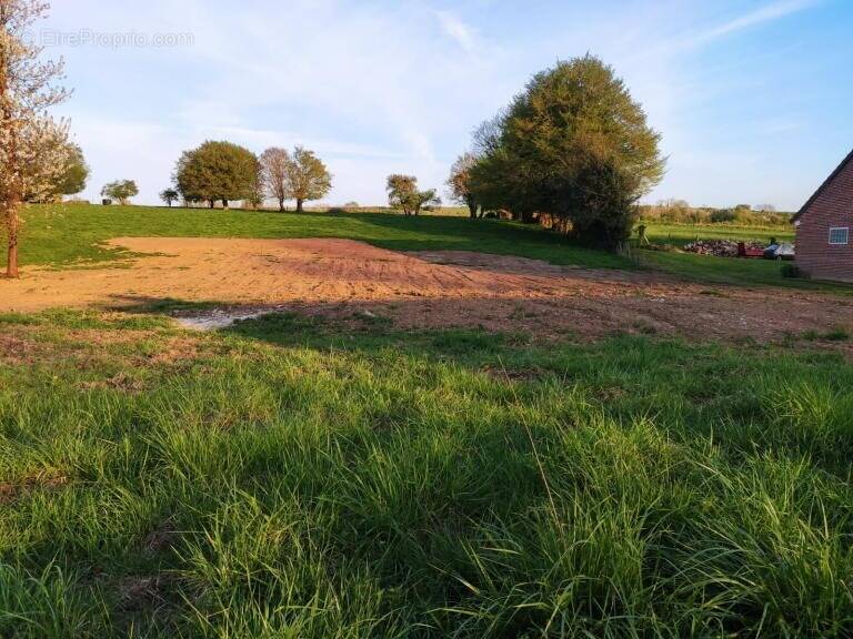 Terrain à AUXI-LE-CHATEAU