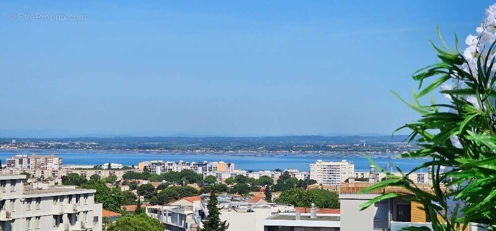 Appartement à SETE