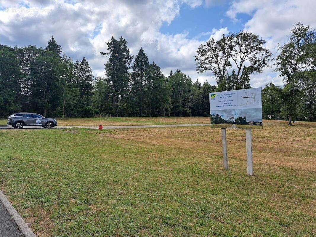 Terrain à NOUAN-LE-FUZELIER