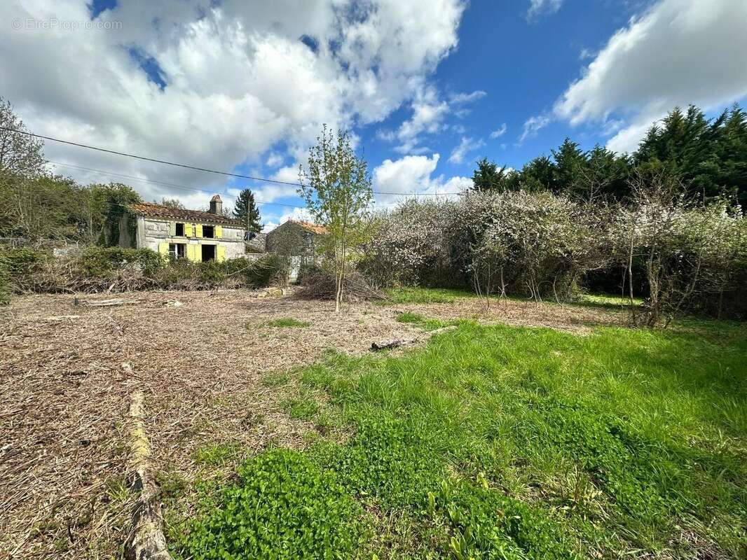 Photo 5 - Maison à CHERAC