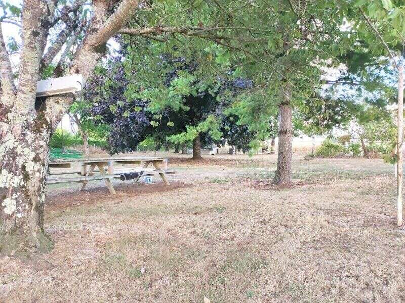 Photo 4 - Maison à BOIS